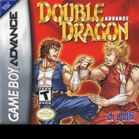 Double Dragon Advance